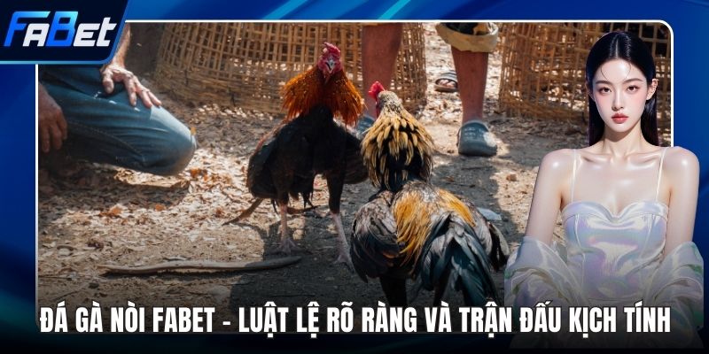 Đá gà nòi FABET