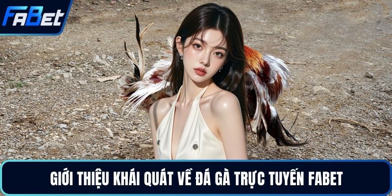 Giới thiệu khái quát về đá gà trực tuyến FABET